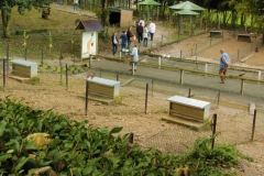 parcs-canards-a-la-ferme-de-beaumont