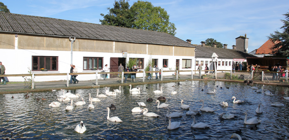 La Ferme de Beaumont